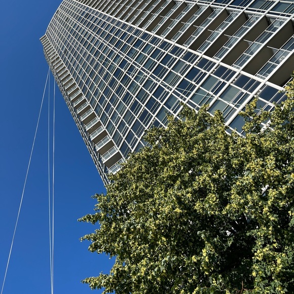 Meet your Posher, Christine - Picture 3 of 7